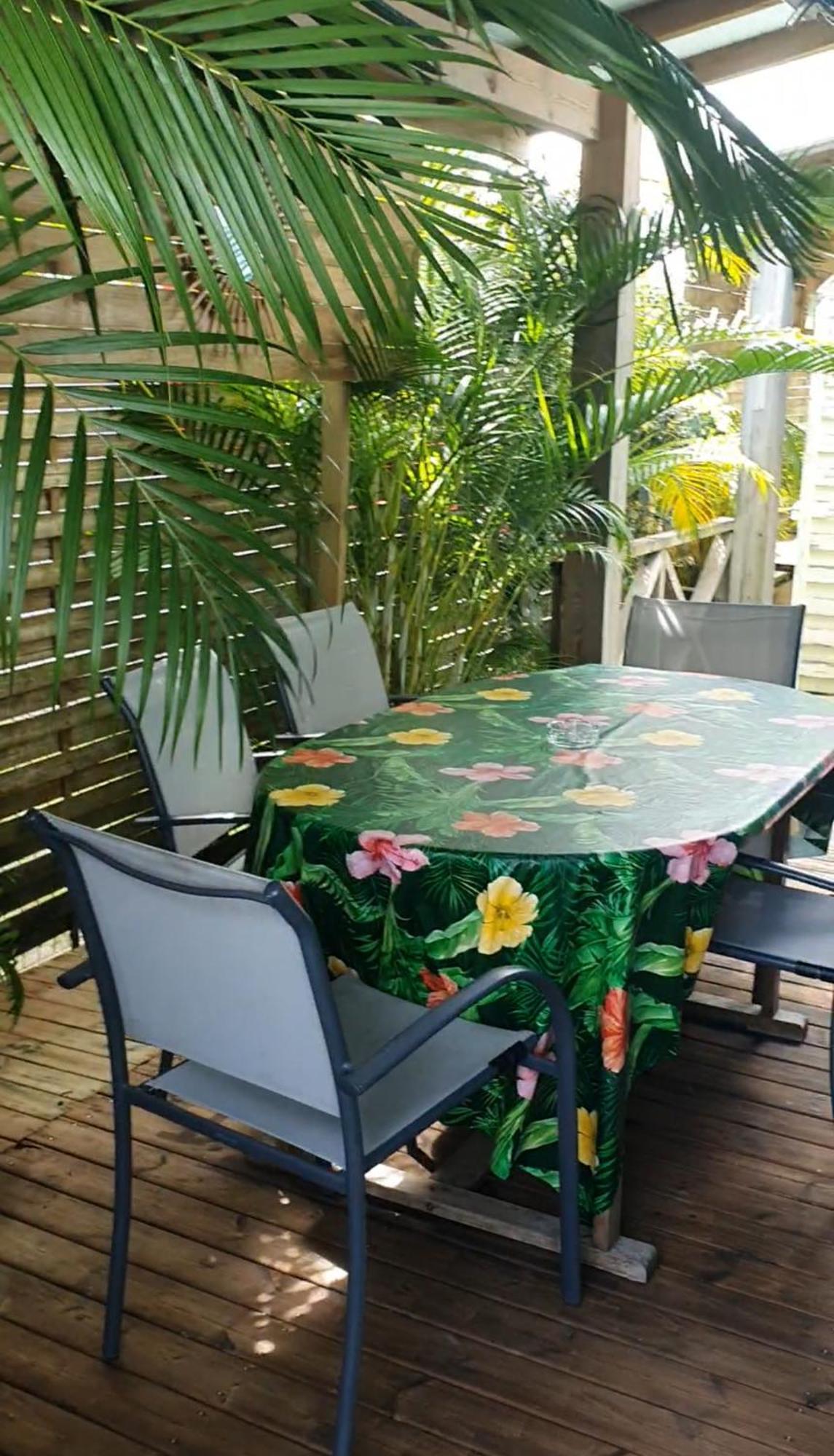 Bungalows Malueva 1 Chambre Et 1 Mezzanine A 5Min De La Plage De La Caravelle 상트 안느 외부 사진